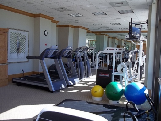 Fitness center with sauna, steam and massage room Fitness center with sauna, steam and massage room